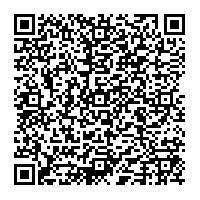 上海电机 上海电机